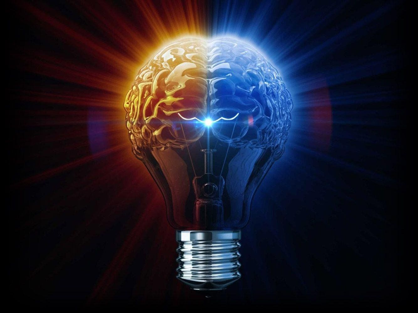 The Human Brain Generates Enough Electricity to Power a Light Bulb